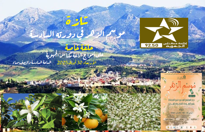 0 5 - تازة بريس - Tazapress