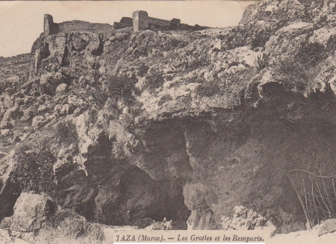 88 - تازة بريس - Tazapress