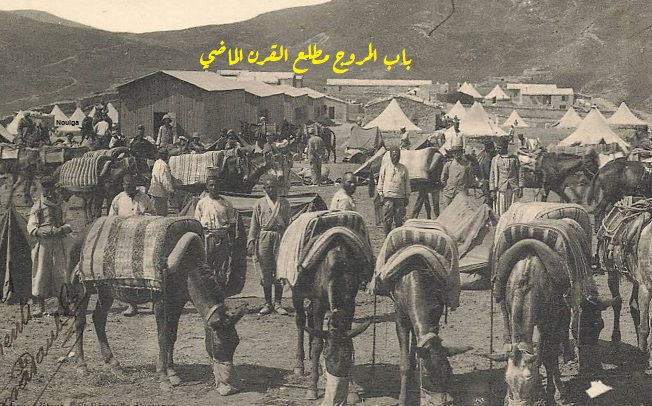 333 - تازة بريس - Tazapress