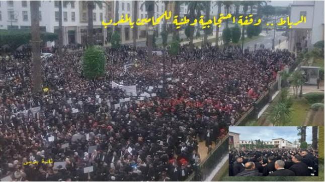محامو المغرب”لا للمس باستقلالية مهنة المحاماة ولا لتركيعها والتحكم فيها”