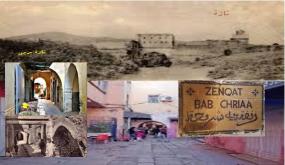 باب الشريعة الأثري المريني بمدينة تازة .. تاريخُها، تسْمِيّتُها، ووظائفُها ..