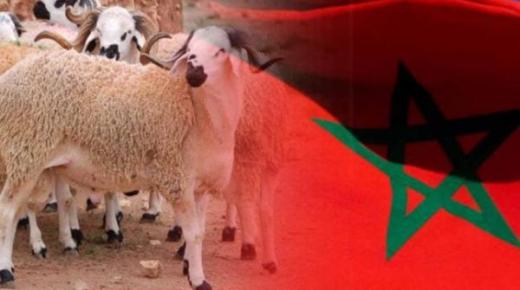 بلاغ : عيد الأضحى في المغرب يوم الخميس 29 يونيو الجاري ..