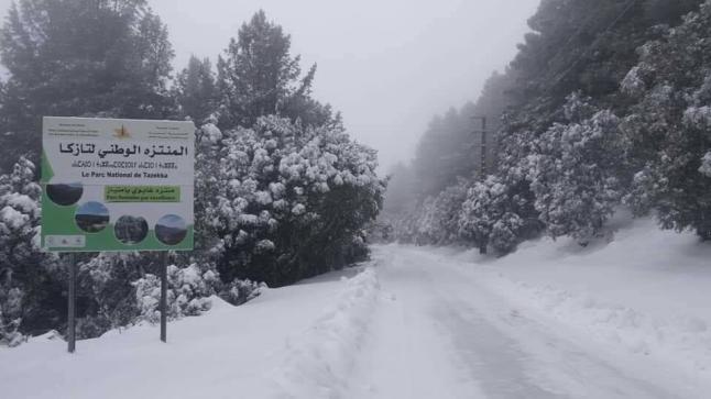 ثلوج المغرب تراوحت بين متر ومترين بالمناطق الجبلية الشاهقة ..