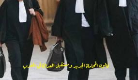المحاماة .. قواعد جديدة تخص الولوج والممارسة والأتعاب والرقابة ..