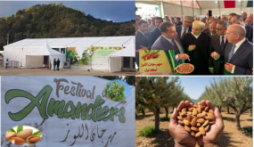 في الحاجة الى يوم دراسي رافع لشجرة اللوز وللتنمية الترابية المنشودة بأكنول ..