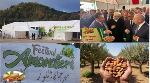 في الحاجة الى يوم دراسي رافع لشجرة اللوز وللتنمية الترابية المنشودة بأكنول ..