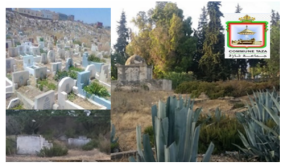 قانون يقضي بإحداث “الوكالة الوطنية لتدبير مقابر دفن المسلمين” ..