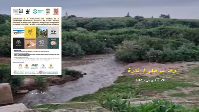 التنوع البيولوجي والتوطين ب”واد بوحلو”موضوع لقاء علمي تنموي ترابي بتازة ..