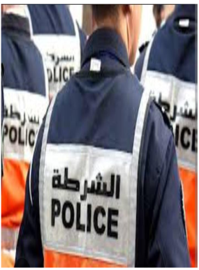 إحالة تقارير المجلس الأعلى للحسابات على الفرقة الوطنية للشرطة القضائية
