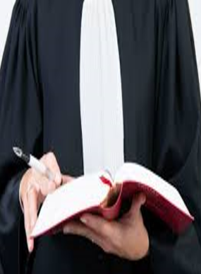 مبدأ الحرية لمهنة المحاماة مع توسيع نطاق ممارستها في الداخل والخارج ..