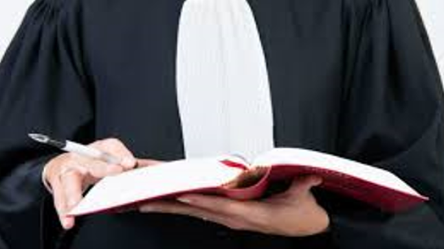 مبدأ الحرية لمهنة المحاماة مع توسيع نطاق ممارستها في الداخل والخارج ..