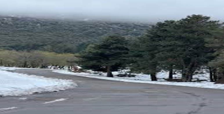 نشرة انذارية : تساقطات ثلجية مرتقبة بمرتفعات تازة ما فوق 1400 متر ..