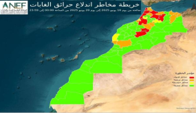 خرائط تنبؤية تحدد بدقة المناطق الأكثر عرضة لخطر اندلاع الحرائق الغابوية ..