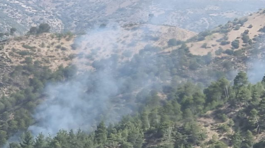 تاونات : حريق يأتي على مساحة من الغطاء الغابوي قبل السيطرة عليه..
