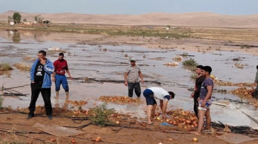 امطار رعدية تخلف خسائر كبيرة في محصول البصل باقليم بولمان ..