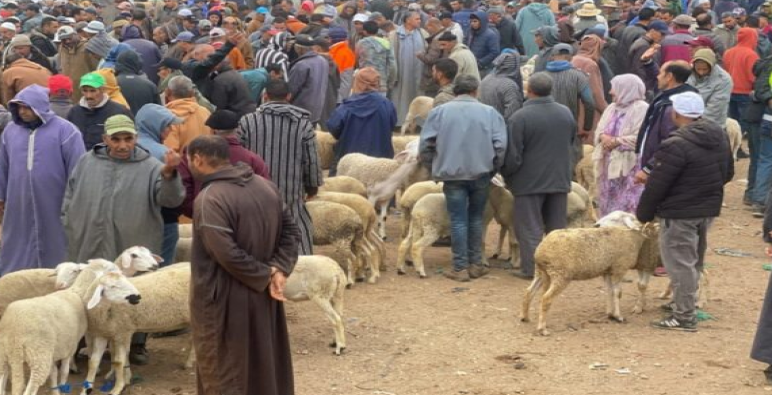 أزمة الأضاحي وسؤال الأمن الغذائي بالمغرب !