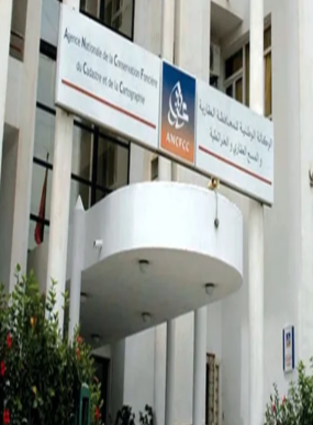 حول الرقمنة وتطوير خدمات الوكالة الوطنية للمحافظة العقارية..