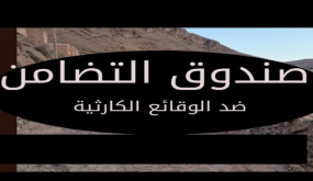 زيادة في الرسم المفروض على عقود التأمين من اجل صندوق التضامن ..