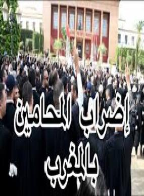 بعد قرار مراجعة مشروع قانون المهنة المحامون يعودون الى المحاكم ..